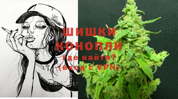 прущие грибы Абдулино