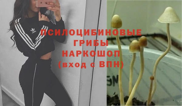 кокаин колумбия Алексин