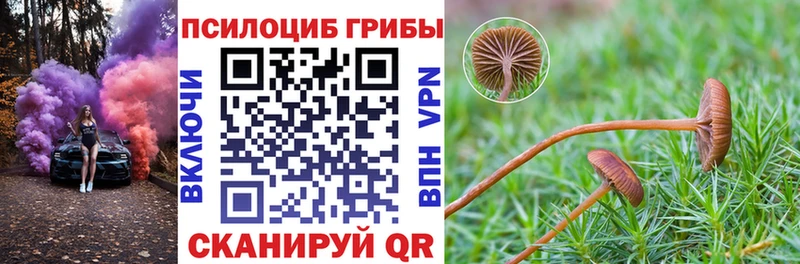 наркота  Мантурово  Галлюциногенные грибы ЛСД 